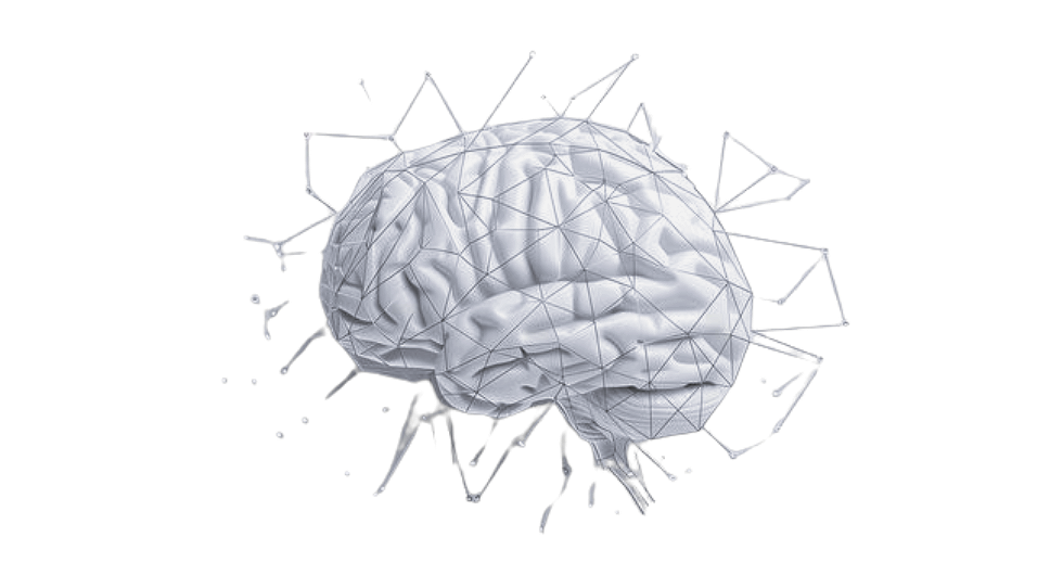 Illustration of a human brain