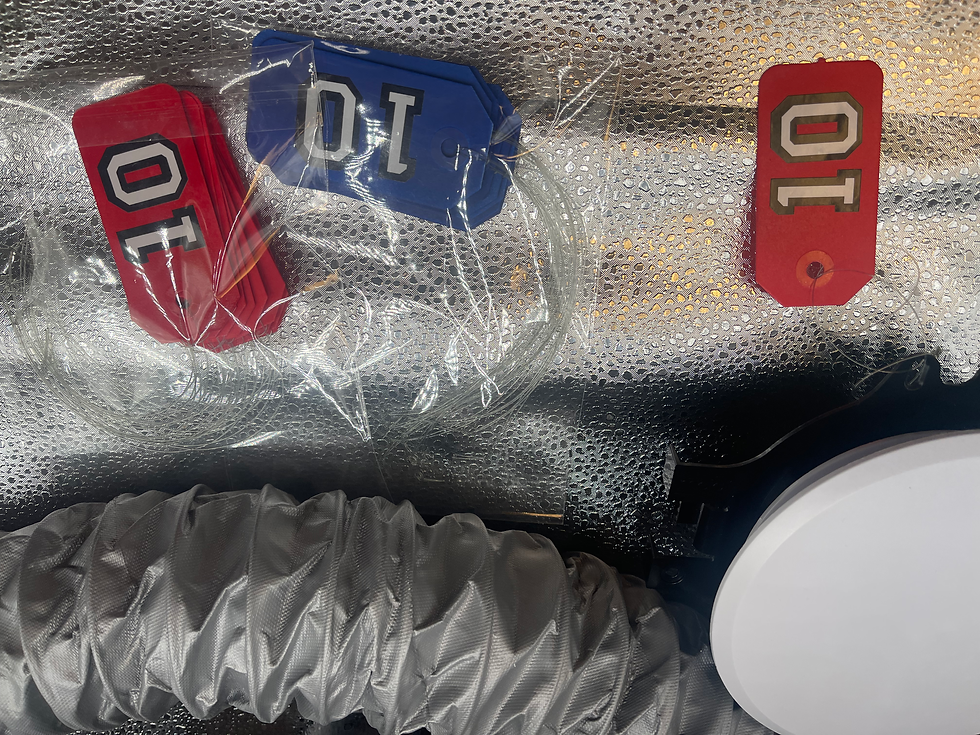 IMG_3570