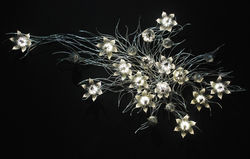 U-ram - Una Lumino Portentum (1)