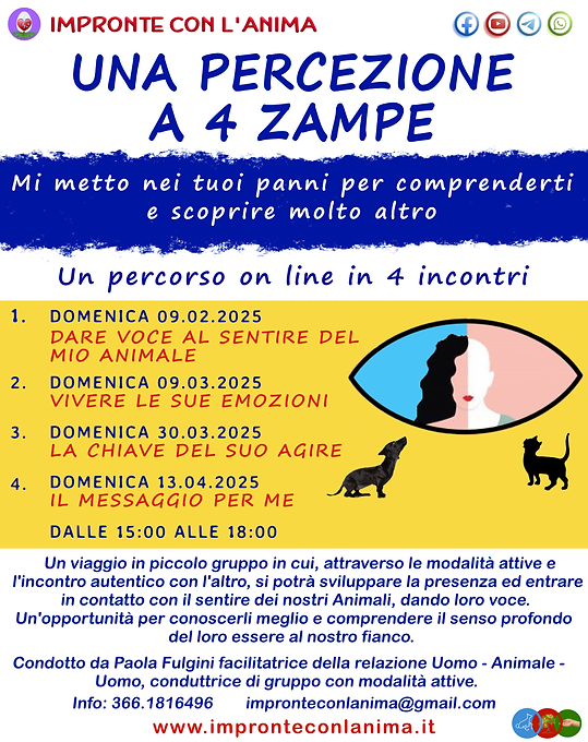 UNA PERCEZIONE A 4 ZAMPE