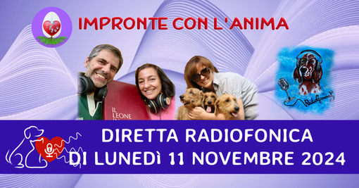 Diretta Radiofonica di Lunedì 25 Novembre 2024