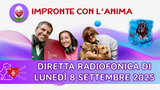 Una puntata frizzante grazie anche ai diversi messaggi giunti dagli ascoltatori che si sono aggiunti agli spunti e alle riflessioni sulla tematica della trasmissione che ha messo al centro alcune delle cause che portano il gatto a manifestare comportamenti aggressivi improvvisi.