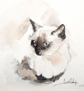 Anima-li specchio dell'Anima