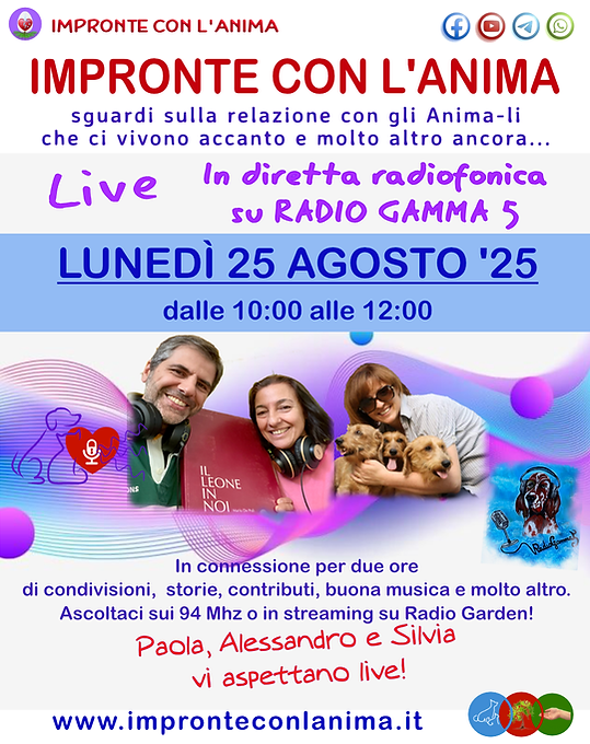 DIRETTA RADIOFONICA