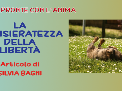 La Spensieratezza della Libertà