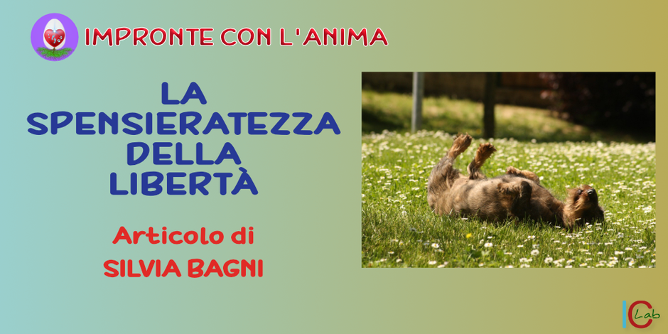 La Spensieratezza della Libertà