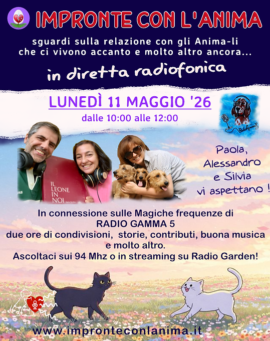 DIRETTA RADIOFONICA