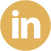 LI.png
