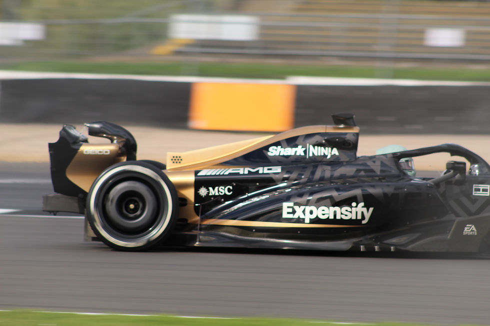 Black and gold race car with logos speeds on track. Brands visible: Shark, Ninja, Expensify. Blurred background, vibrant asphalt.