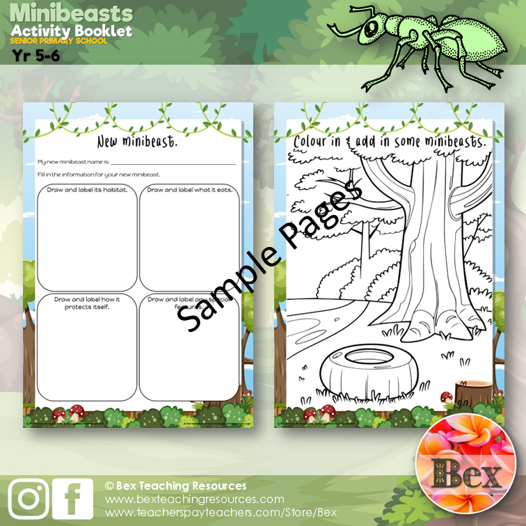 Thumbnail: Minibeast Worksheets Booklet - Yr 5-6