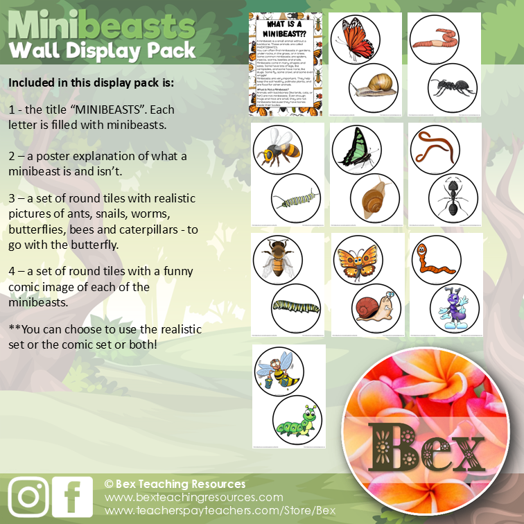 Thumbnail: Minibeasts - Display Title