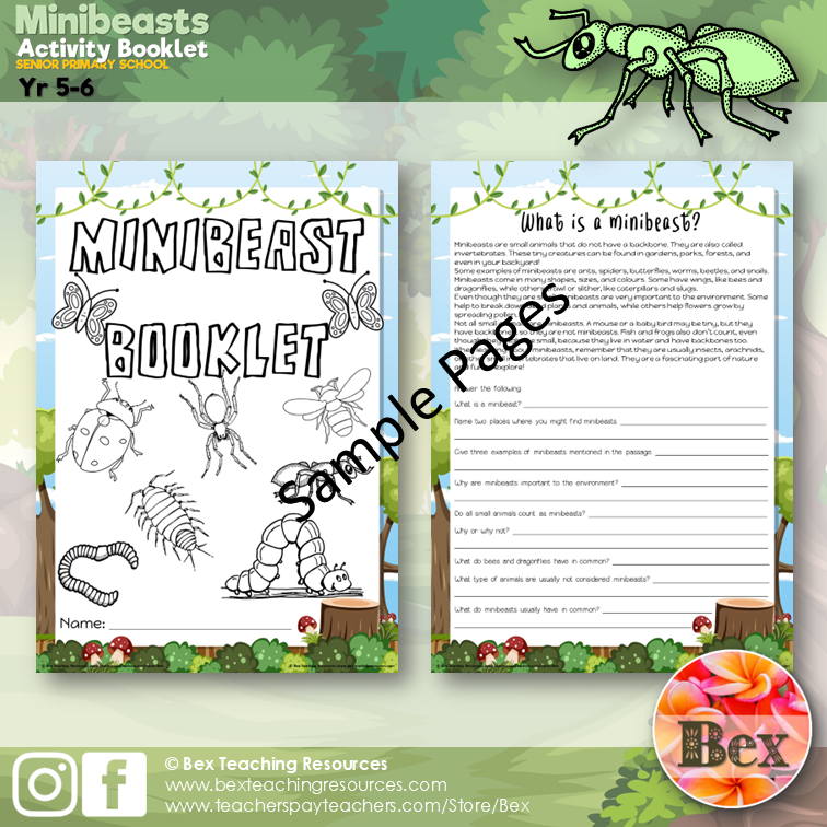 Thumbnail: Minibeast Worksheets Booklet - Yr 5-6