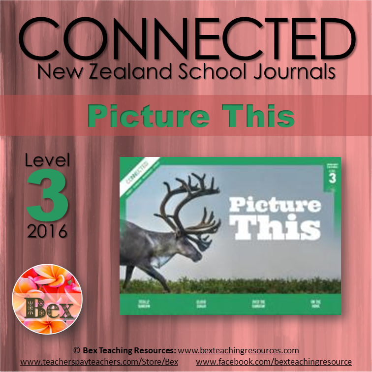NZ Connected - L3 - 2016 - Picture This