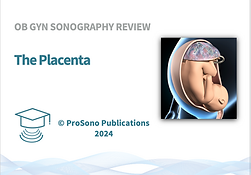 gallery_placenta.png