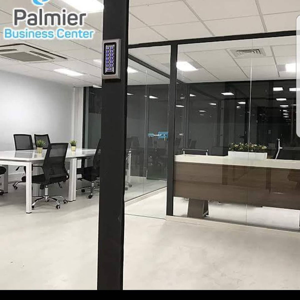Palmier Business Center