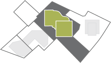 locator map 67 Symonds street.png