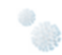 Screen Shot 2024-12-11 at 2.58.48 PM.png