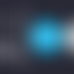 BlueFox Accounts - Silver Partner status