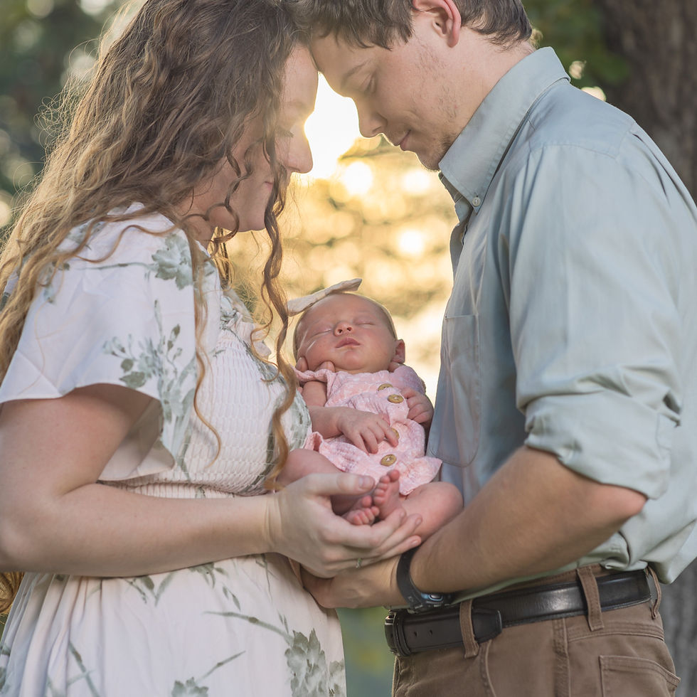 Thumbnail: Family Portraits Package 2