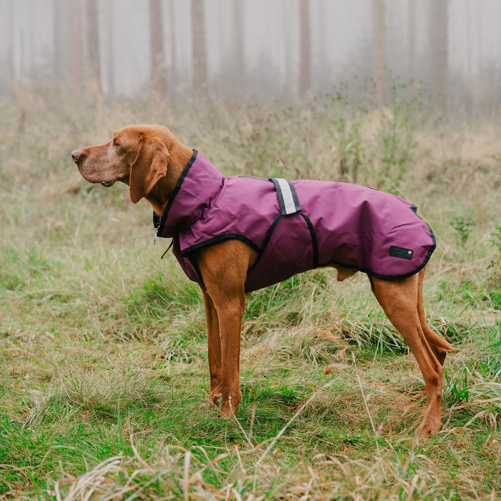 Thumbnail: Danish Design Dog Coats 3in1