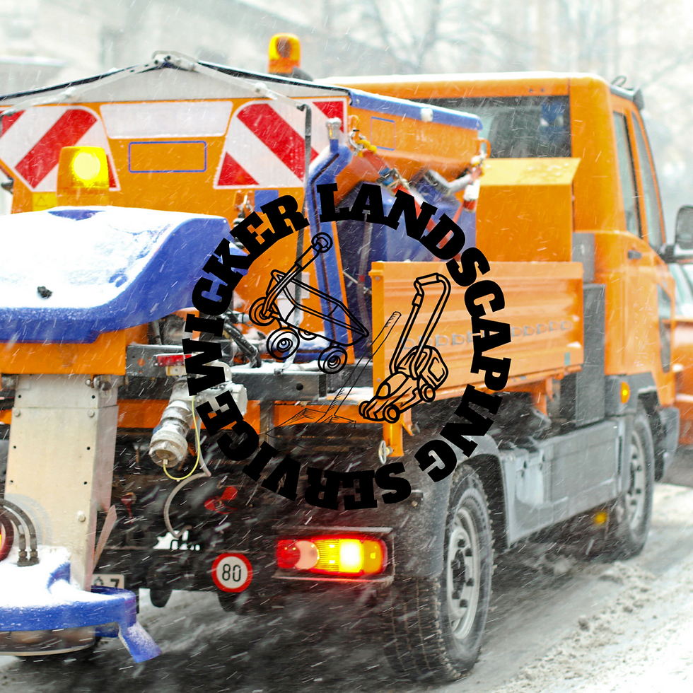 WRC SNOW 7