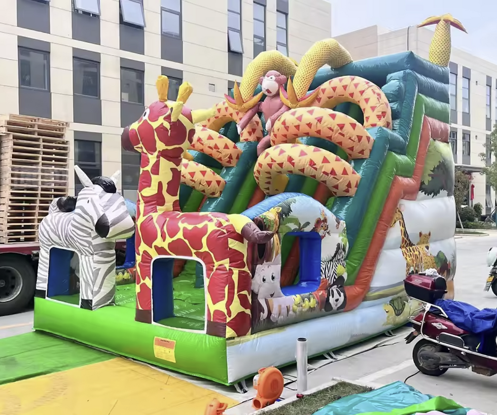 Thumbnail: Jumping Castle #15