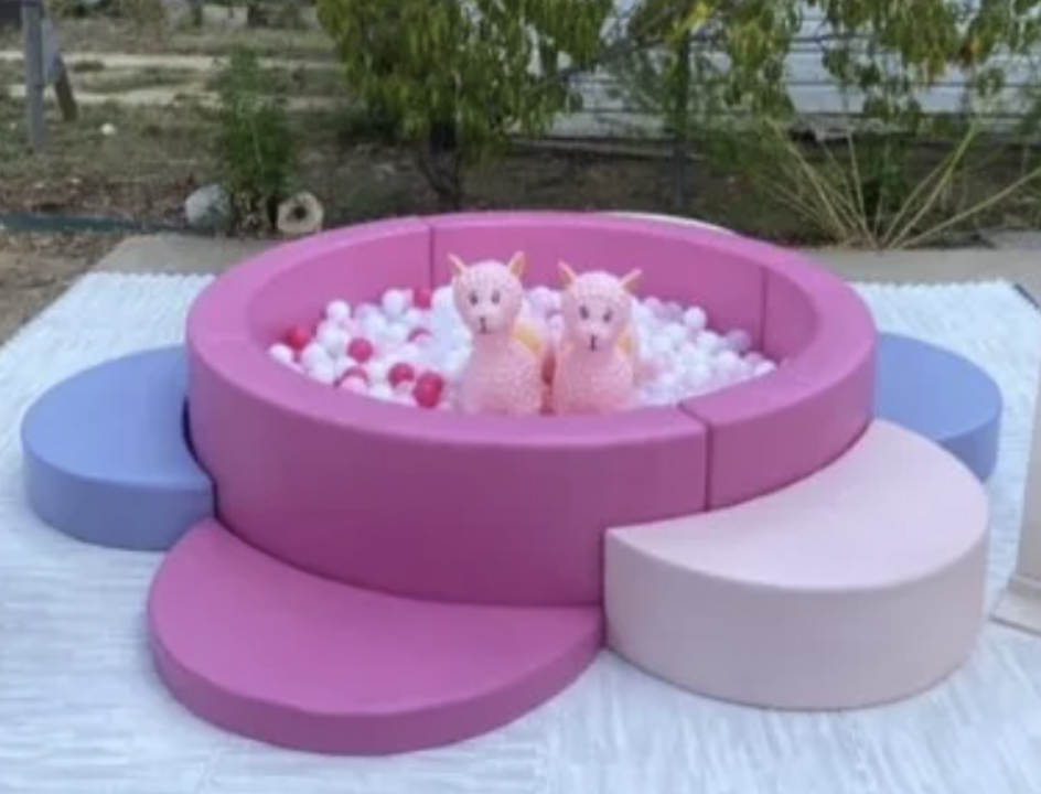 Thumbnail: Daisy Ball Pits