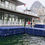 Thumbnail: MISCELLANEOUS HDPE FLOATING MODULAR DOCK STYLES