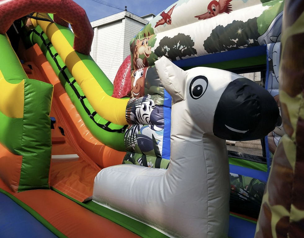Thumbnail: Jumping Castle #15