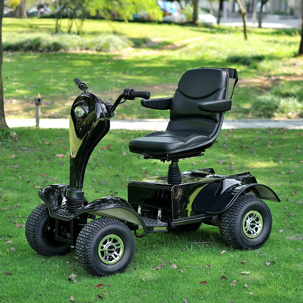 Thumbnail: Luxury 1200W Single Person Golf Cart