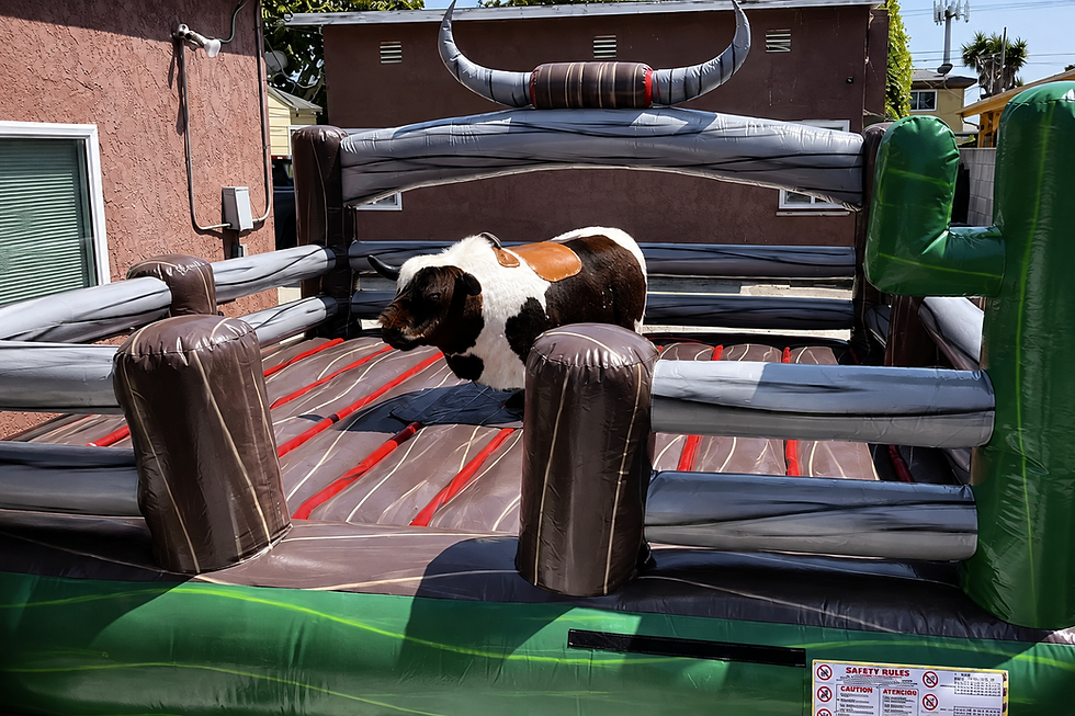 Thumbnail: Mechanical Bull Ride