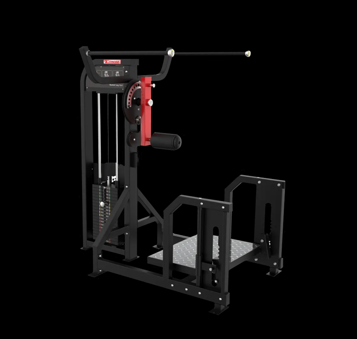 Multi Hip Machine