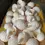 Thumbnail: Gifts - Seashells Large