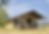 Thumbnail: Safari Glamping Tent
