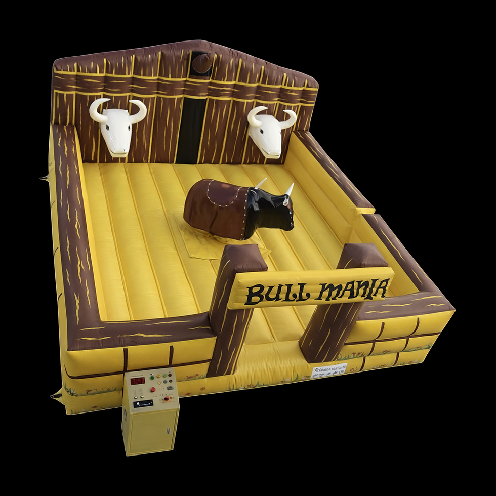 Thumbnail: Mechanical Bull Ride