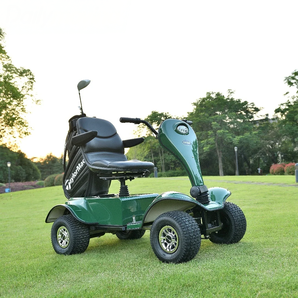 Thumbnail: Luxury 1200W Single Person Golf Cart