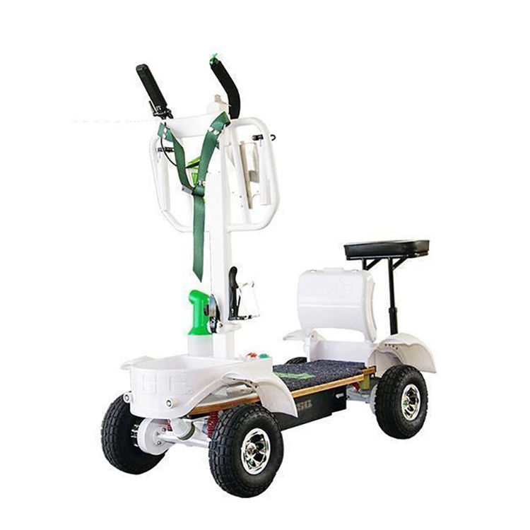 Thumbnail: NEW HIGH QUALITY 2000W 10" ELECTRIC GOLF SCOOTER