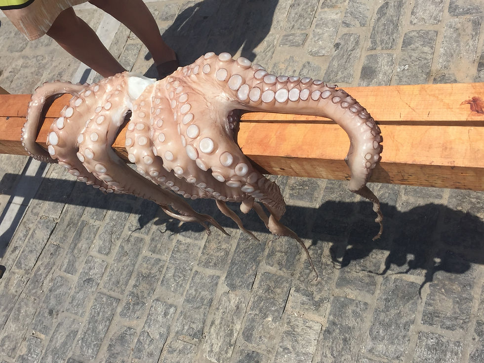 Thumbnail: Yelkenle Takım Geliştirme