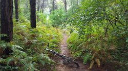 Kemer Bisiklet Cenneti