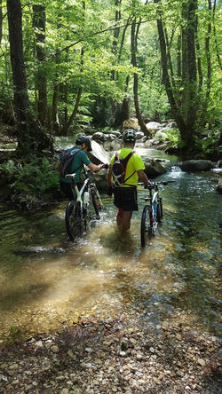 Kemer Bisiklet Cenneti