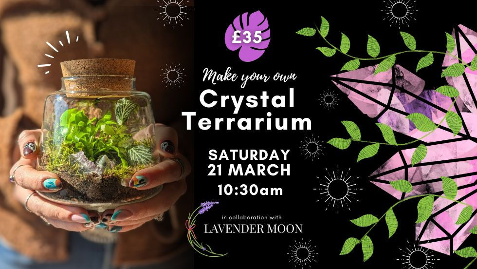 Crystal Terrarium Workshop £35