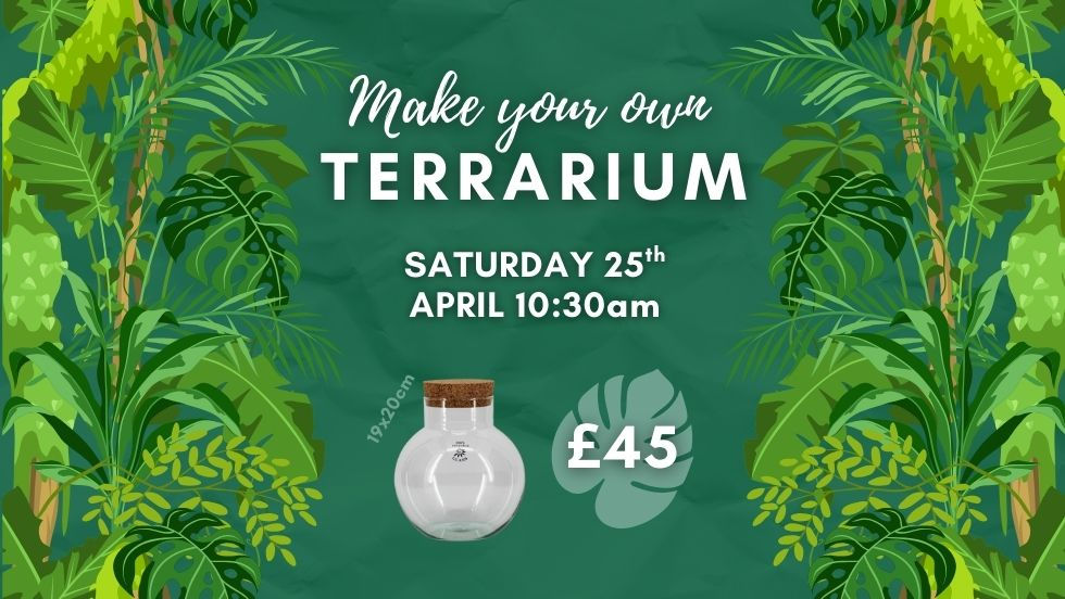 Terrarium Workshop £45