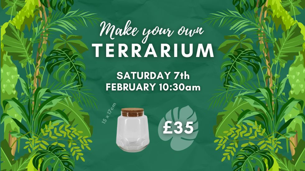 Terrarium Workshop £35