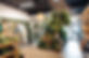 WildRoots2025--15.jpg