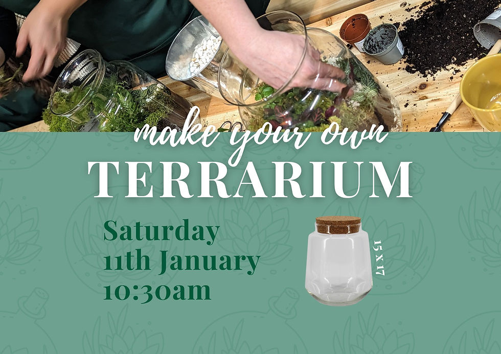 Terrarium Workshop Sat 11th Jan 10:30am