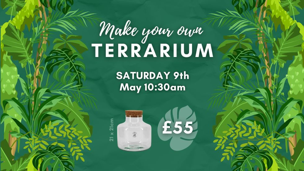 Terrarium Workshop £55