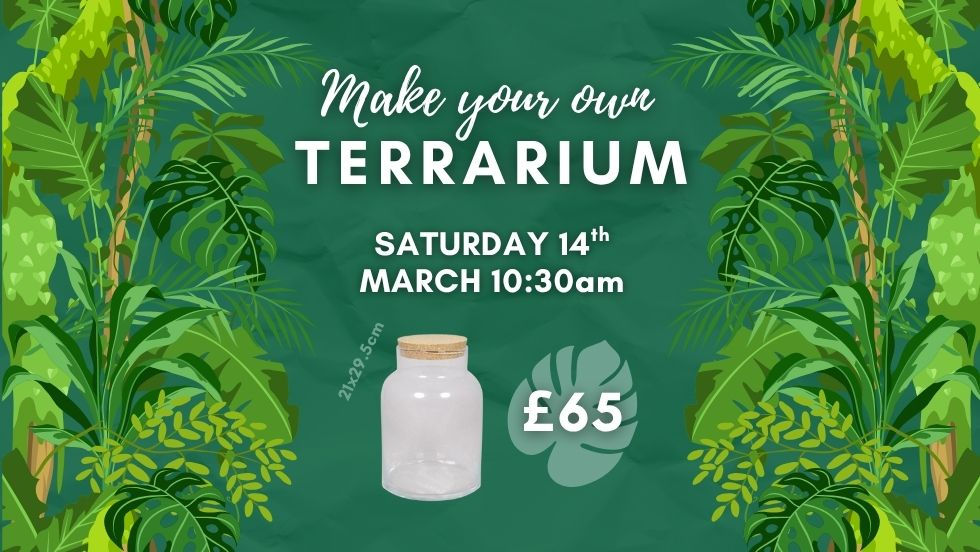 Terrarium Workshop £65
