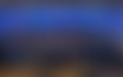 华人政治联盟正式背书赵宏博士(Dr.Diana Zhao)