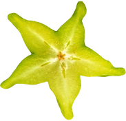 5b58796af0f2e434c987f8efca3e8127_edited.png