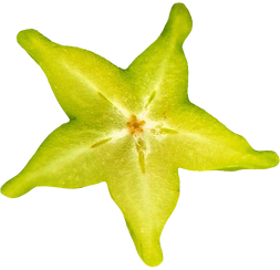 5b58796af0f2e434c987f8efca3e8127_edited.png